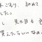 金運巣ごもり、初めて購入できました