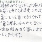 孫娘が届けてくれた、こんなおいしいお菓子