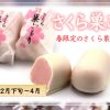 コロナ禍の中でも、桜咲かそう！『さくら巣ごもり』で春を満喫！